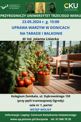 Na zdjęciu widać na drewnianej podłodze tarasu stoją okrągłe donice z krzakami czerwonych pomidorków koktajlowych.  