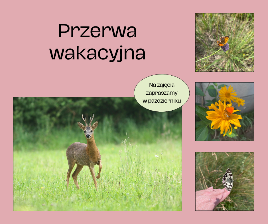 Plakat z informacją, że obecnie trwa przerwa wakacyjna, a na zajęcia zapraszamy w październiku