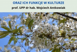 Plakat zapraszający na warsztat pt. Motyw wiśni, czereśni i gruszy oraz ich funkcje w kulturze. Zdjęcie przedstawia kwitnące na biało gałęzie wiśni na tle nieba.