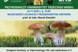 Właściwości prozdrowotne i lecznicze grzybów - wykład Przyrodniczego Uniwersytetu Trzeciego Wieku