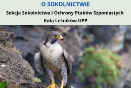 Plakat zapraszający na wykład pt. OKO W OKO Z SOKOŁEM - ROZMOWY O SOKOLNICTWIE przestawia sokoła siedzącego na skale.