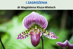 Plakat zapraszający na wykład pt. Storczyki w Polsce - stan obecny i zagrożenia. Grafika przedstawia fioletowy kwiat na zielonym tle.