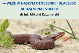 Plakat zapraszający na wykład "Wśród zaskrońców, żmij, pytonów i boa — węże w naszym otoczeniu i dlaczego budzą w nas strach". Zdjęcie przedstawia węża pełzającego  po piasku.